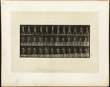 1- V- Plate 1 - whole page